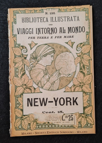 New york biblioteca illustrata - york,